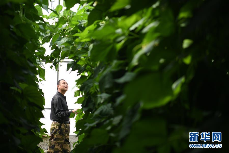 （壯麗70年&middot;奮斗新時代&mdash;&mdash;共和國發(fā)展成就巡禮&middot;圖文互動）（7）以&ldquo;綠色&rdquo;身姿站上發(fā)展前沿&mdash;&mdash;甘肅綠色轉型發(fā)展紀實