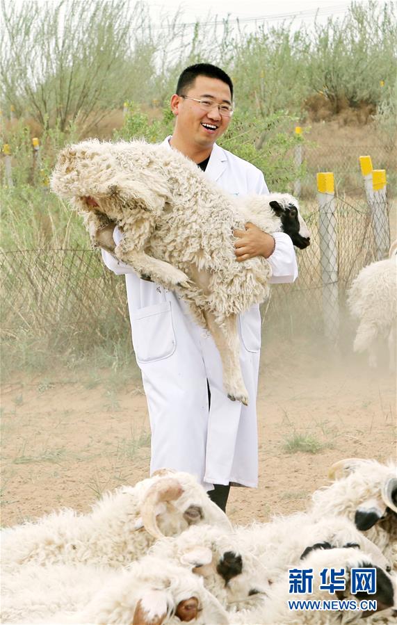 （壯麗70年&middot;奮斗新時(shí)代&mdash;&mdash;共和國發(fā)展成就巡禮&middot;圖文互動(dòng)）（3）生態(tài)美、百姓富&mdash;&mdash;品讀嶄新&ldquo;寧夏畫卷&rdquo;