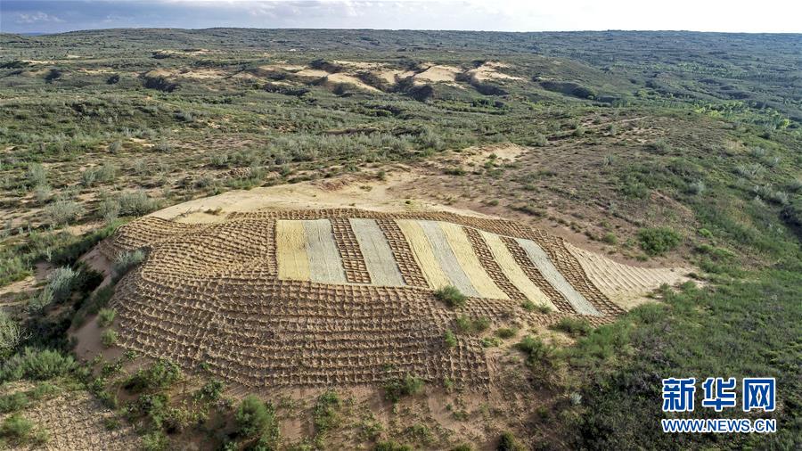（壯麗70年&middot;奮斗新時(shí)代&mdash;&mdash;共和國發(fā)展成就巡禮&middot;圖文互動(dòng)）（6）生態(tài)美、百姓富&mdash;&mdash;品讀嶄新&ldquo;寧夏畫卷&rdquo;