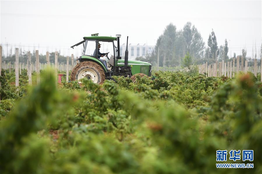 （壯麗70年&middot;奮斗新時(shí)代&mdash;&mdash;共和國發(fā)展成就巡禮&middot;圖文互動(dòng)）（10）生態(tài)美、百姓富&mdash;&mdash;品讀嶄新&ldquo;寧夏畫卷&rdquo;