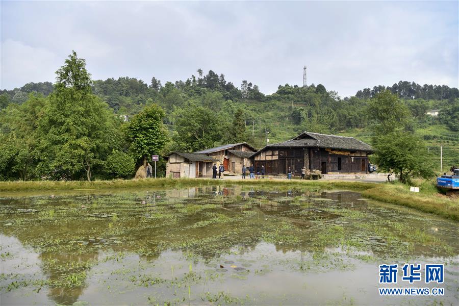 (來自一線的調(diào)查報告·圖文互動)(2)利益聯(lián)結(jié)強(qiáng)產(chǎn)業(yè) 打通城鄉(xiāng)促振興——重慶涪陵大順鄉(xiāng)鄉(xiāng)村振興觀察