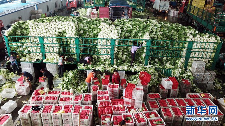 （壯麗70年&middot;奮斗新時(shí)代&mdash;&mdash;共和國(guó)發(fā)展成就巡禮）（5）看今朝齊風(fēng)魯韻　七十載芳華正勁&mdash;&mdash;新中國(guó)成立以來(lái)山東領(lǐng)先發(fā)展紀(jì)實(shí)