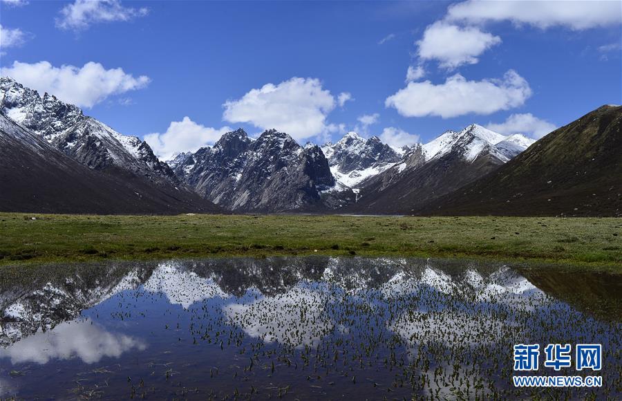 （今日關(guān)注&middot;第一屆國家公園論壇&middot;圖文互動）（6）首個國家公園什么樣？專家?guī)阆?ldquo;睹&rdquo;為快