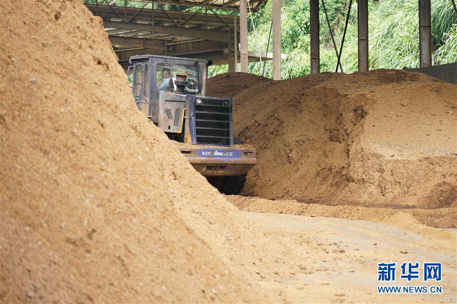 （在習(xí)近平新時(shí)代中國特色社會(huì)主義思想指引下&mdash;&mdash;新時(shí)代新作為新篇章&middot;總書記關(guān)心的百姓身邊事&middot;圖文互動(dòng)）（4）大污染變身&ldquo;大寶藏&rdquo;：治理畜禽糞污，他們這樣干！