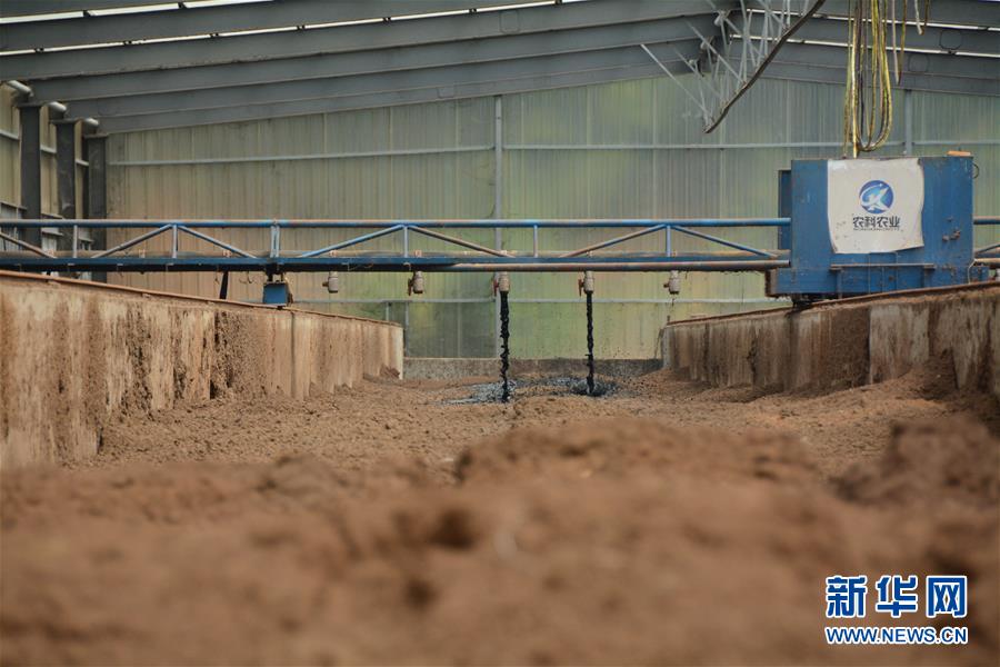 （在習(xí)近平新時(shí)代中國特色社會(huì)主義思想指引下&mdash;&mdash;新時(shí)代新作為新篇章&middot;總書記關(guān)心的百姓身邊事&middot;圖文互動(dòng)）（5）大污染變身&ldquo;大寶藏&rdquo;：治理畜禽糞污，他們這樣干！