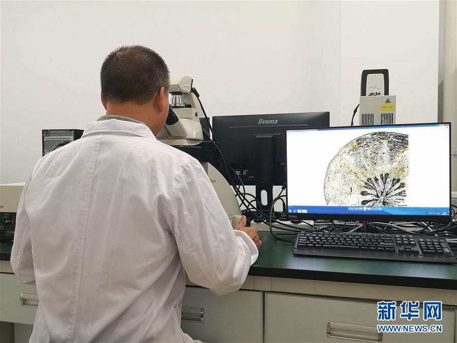 （新華調(diào)查&middot;新中國(guó)考古重大發(fā)現(xiàn)&middot;圖文互動(dòng)）（5）?；韬睿翰粌H僅是&ldquo;黃金大墓&rdquo;