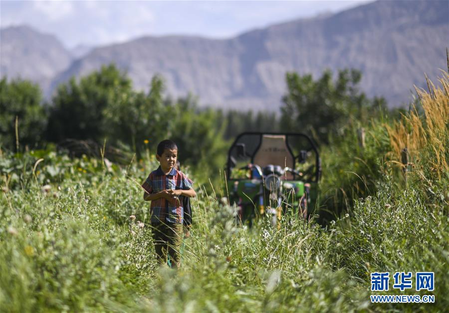 （決戰(zhàn)決勝脫貧攻堅(jiān)&middot;圖文互動(dòng)）（5）記者手記：尋訪昆侖&ldquo;桃花源&rdquo;的&ldquo;祛病&rdquo;良方