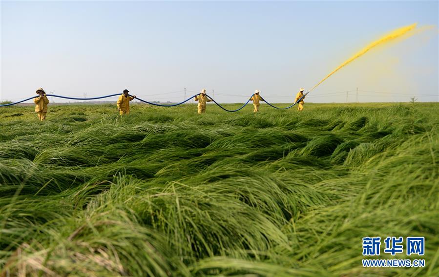 (紅土地“往事新說”·圖文互動(dòng))(11)昔日送“瘟神” 今朝健康促小康