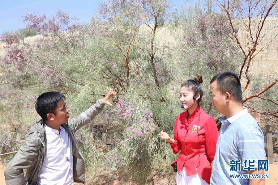 （走讀黃河&middot;圖文互動(dòng)）（2）中衛(wèi)：33萬畝沙區(qū)變灌區(qū)