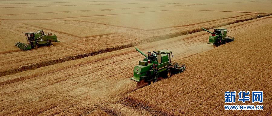 （新華全媒頭條&middot;圖文互動）（1）大國糧倉的新時代交響&mdash;&mdash;河南農業(yè)70年觀察