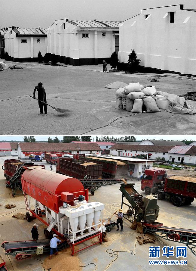 （新華全媒頭條&middot;圖文互動）（9）大國糧倉的新時代交響&mdash;&mdash;河南農業(yè)70年觀察