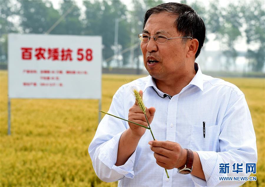 （新華全媒頭條&middot;圖文互動(dòng)）（15）大國(guó)糧倉(cāng)的新時(shí)代交響&mdash;&mdash;河南農(nóng)業(yè)70年觀察