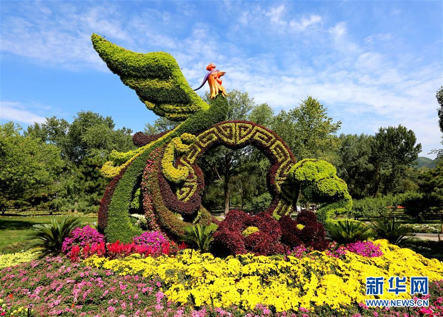 (圖文互動(dòng))(3)15萬(wàn)平方米花卉扮靚首都公園