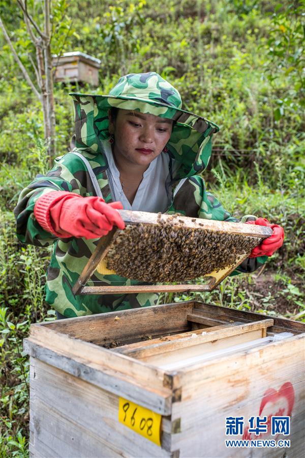 (圖文互動(dòng))(7)太陽照耀“人類童年”——新時(shí)代直過民族脫貧攻堅(jiān)紀(jì)事