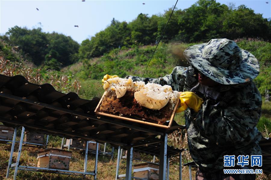 （新華全媒頭條&middot;圖文互動）（4）永不歸來的&ldquo;戰(zhàn)士&rdquo;&mdash;&mdash;追記倒在脫貧攻堅(jiān)一線的貴州沿河縣駐村第一書記文偉紅
