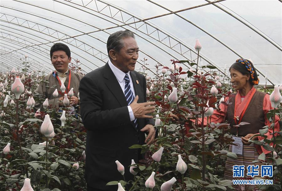 (壯麗70年·奮斗新時(shí)代——共和國(guó)榮光)(3)民族團(tuán)結(jié)的楷模——熱地