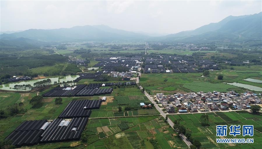 （在習(xí)近平新時(shí)代中國特色社會(huì)主義思想指引下&mdash;&mdash;新時(shí)代新作為新篇章&middot;總書記關(guān)心的百姓身邊事&middot;圖文互動(dòng)）（1）&ldquo;科技秀才&rdquo;給田野帶來新希望