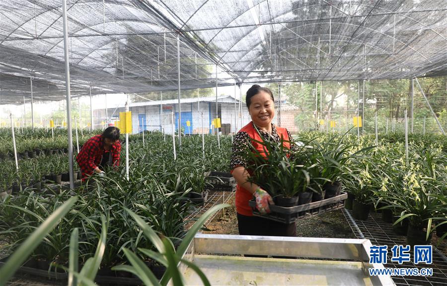 （在習(xí)近平新時(shí)代中國特色社會(huì)主義思想指引下&mdash;&mdash;新時(shí)代新作為新篇章&middot;總書記關(guān)心的百姓身邊事&middot;圖文互動(dòng)）（2）&ldquo;科技秀才&rdquo;給田野帶來新希望