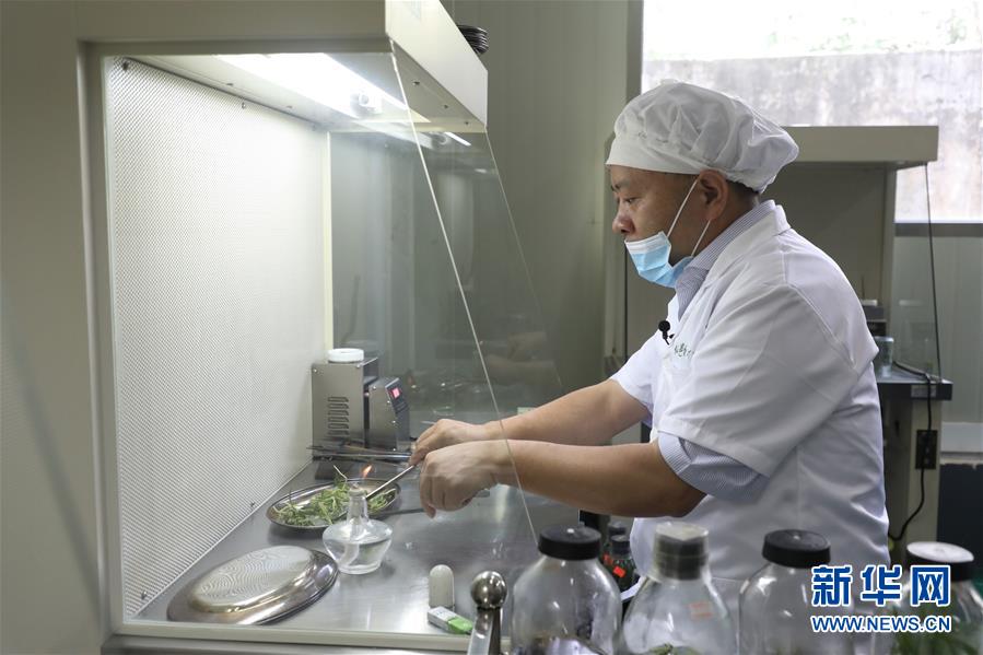 （在習(xí)近平新時(shí)代中國特色社會(huì)主義思想指引下&mdash;&mdash;新時(shí)代新作為新篇章&middot;總書記關(guān)心的百姓身邊事&middot;圖文互動(dòng)）（5）&ldquo;科技秀才&rdquo;給田野帶來新希望