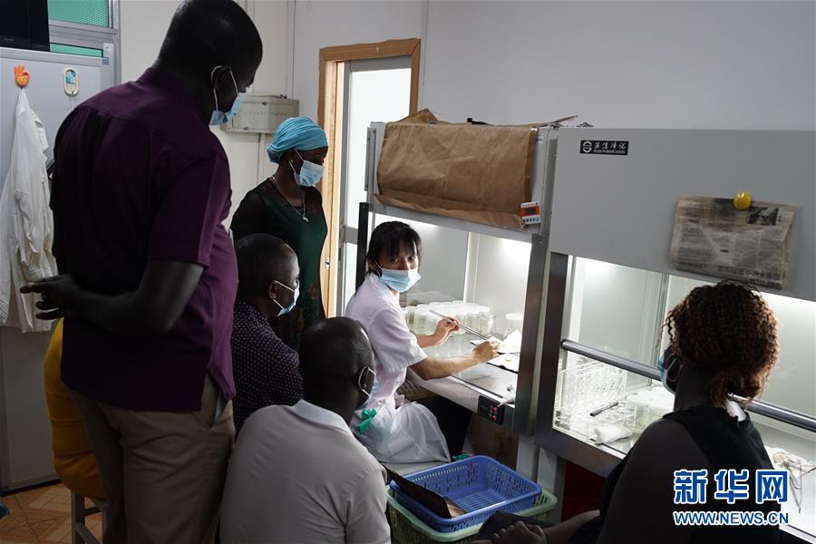 (在習(xí)近平新時代中國特色社會主義思想指引下——新時代新作為新篇章·總書記關(guān)切開放事·圖文互動)(7)來中國“學(xué)種地”的“洋學(xué)生”