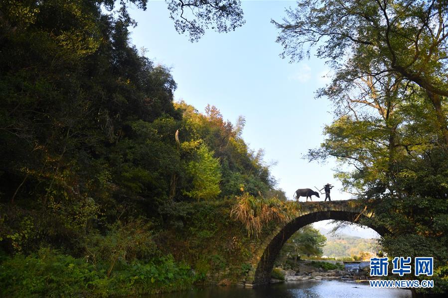（圖文互動）（3）鄉(xiāng)村攝影師、鄉(xiāng)村&ldquo;模特&rdquo;、民宿店主&mdash;&mdash;鄉(xiāng)村旅游推動婺源農(nóng)民生活方式發(fā)生新變化