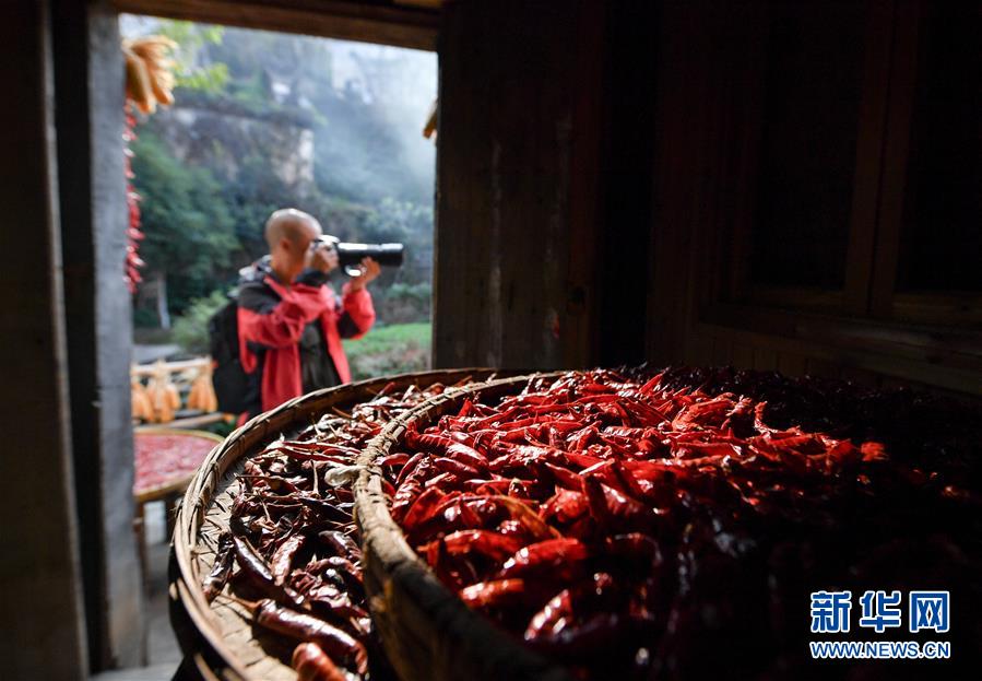 （圖文互動）（6）鄉(xiāng)村攝影師、鄉(xiāng)村&ldquo;模特&rdquo;、民宿店主&mdash;&mdash;鄉(xiāng)村旅游推動婺源農(nóng)民生活方式發(fā)生新變化