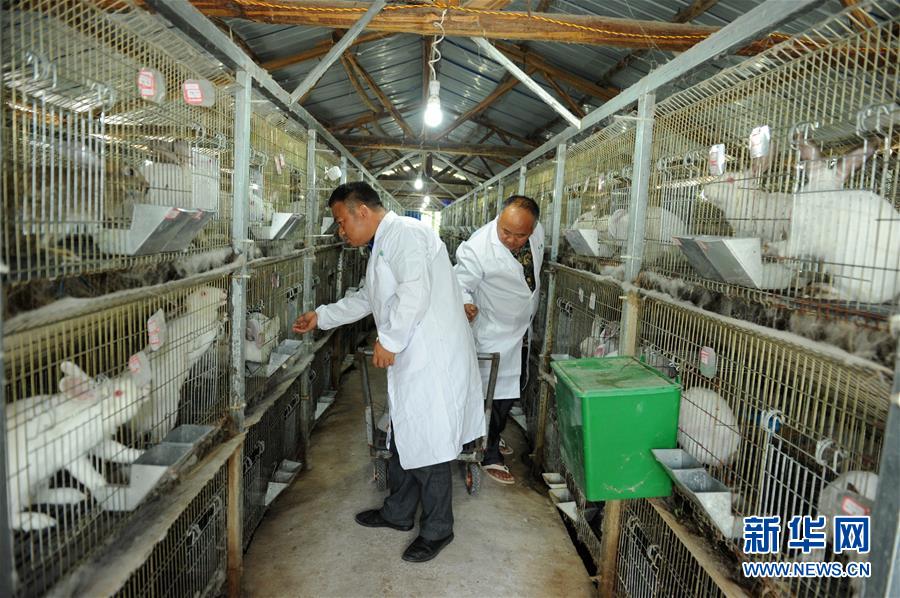 （新華全媒頭條&middot;圖文互動）（4）干部去哪兒了？&mdash;&mdash;貴州干部大規(guī)模下沉脫貧攻堅一線紀(jì)實(shí)