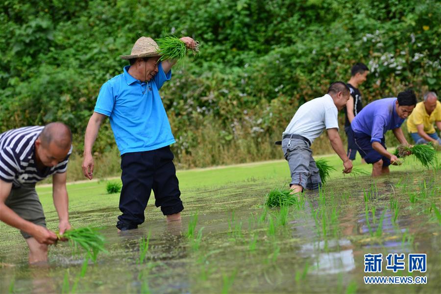 （新華全媒頭條&middot;圖文互動）（8）干部去哪兒了？&mdash;&mdash;貴州干部大規(guī)模下沉脫貧攻堅一線紀(jì)實(shí)