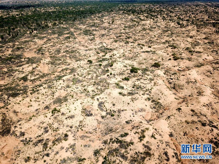 （圖文互動）（2）陜西榆林毀林建光伏電站追蹤：還有哪些疑團有待破解？ 