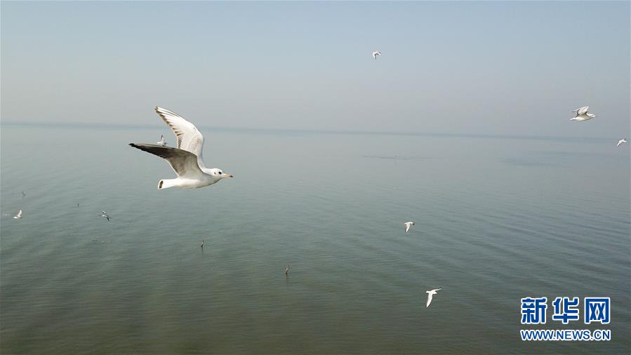 （新華全媒頭條&middot;圖文互動(dòng)）（1）大湖見(jiàn)證&mdash;&mdash;長(zhǎng)三角三大淡水湖綠色發(fā)展之路