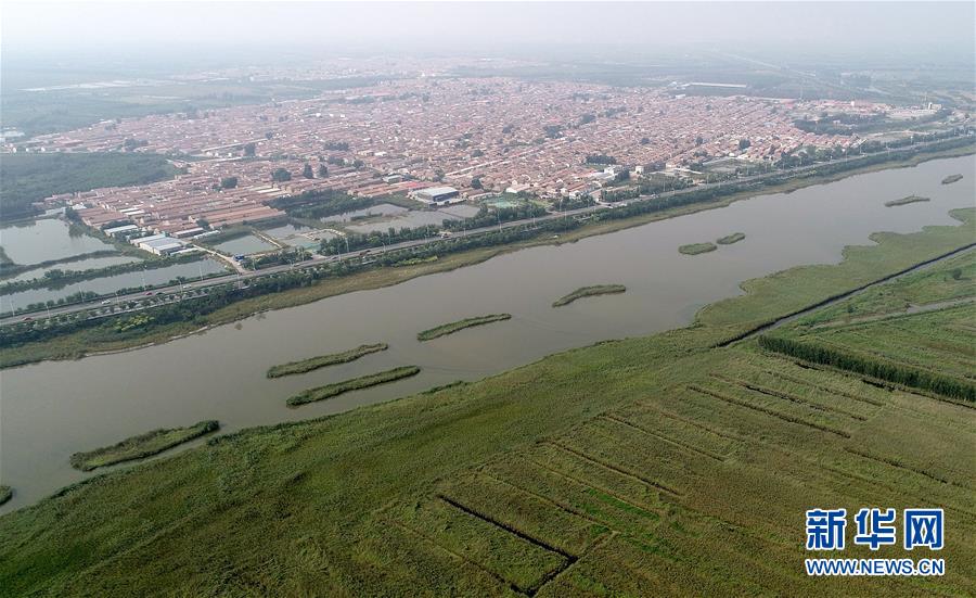 （新華全媒頭條&middot;兩會(huì)特別報(bào)道&middot;圖文互動(dòng)）（8）開拓更加寬廣的高質(zhì)量發(fā)展前景&mdash;&mdash;從全國(guó)兩會(huì)看奮進(jìn)中國(guó)的堅(jiān)定步伐