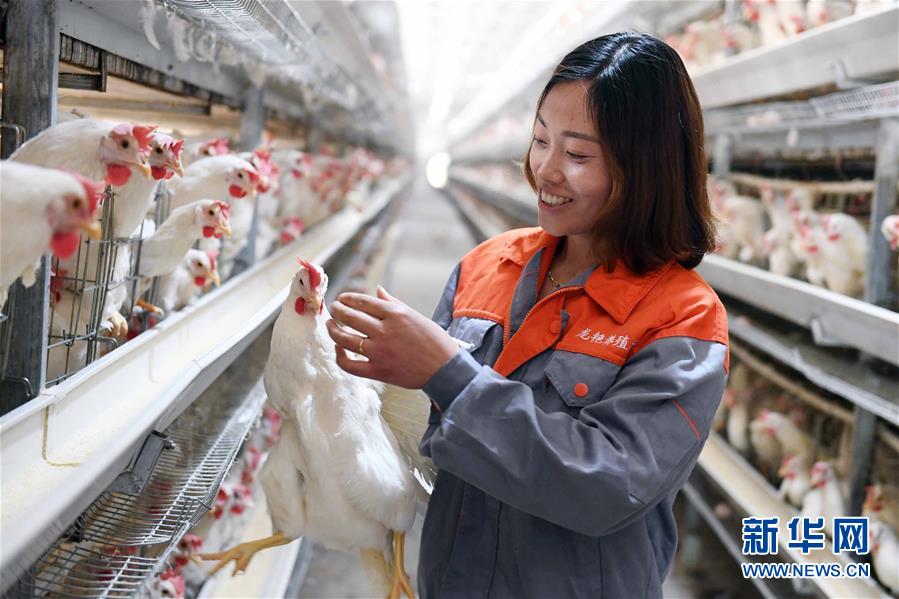 （新華全媒頭條&middot;兩會特別報道&middot;圖文互動）（6）在推進高質量發(fā)展中創(chuàng)造廣闊空間&mdash;&mdash;從全國兩會看奮進中國的發(fā)展機遇