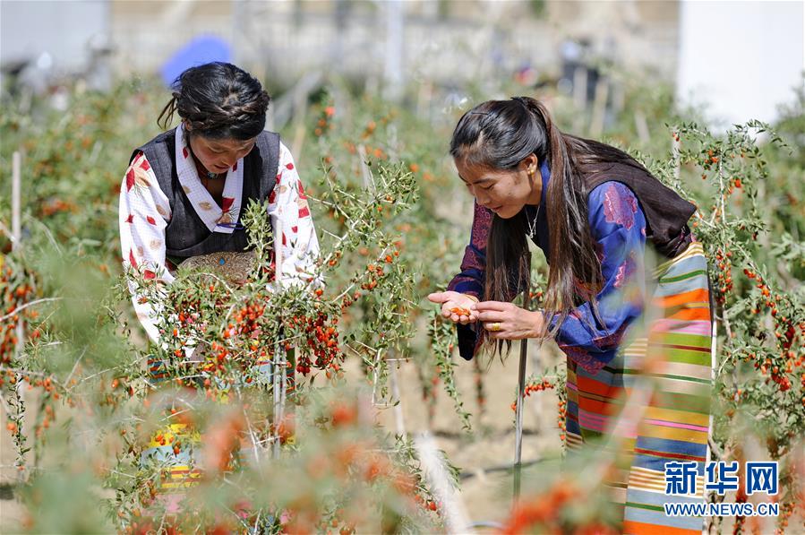 （新華全媒頭條&middot;兩會特別報道&middot;圖文互動）（7）在推進高質量發(fā)展中創(chuàng)造廣闊空間&mdash;&mdash;從全國兩會看奮進中國的發(fā)展機遇