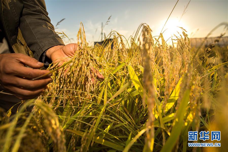 （新華全媒頭條&middot;圖文互動）（5）上下同心再出發(fā)&mdash;&mdash;習近平總書記同出席2019年全國兩會人大代表、政協(xié)委員共商國是紀實