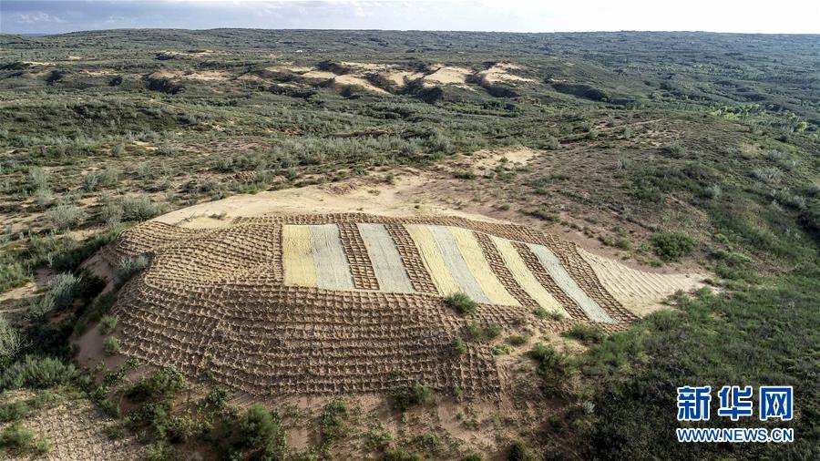 （在習(xí)近平新時(shí)代中國(guó)特色社會(huì)主義思想指引下&mdash;&mdash;新時(shí)代新作為新篇章&middot;總書記關(guān)切高質(zhì)量發(fā)展&middot;圖文互動(dòng)）（1）從一粒沙看不斷擴(kuò)大的中國(guó)綠色版圖