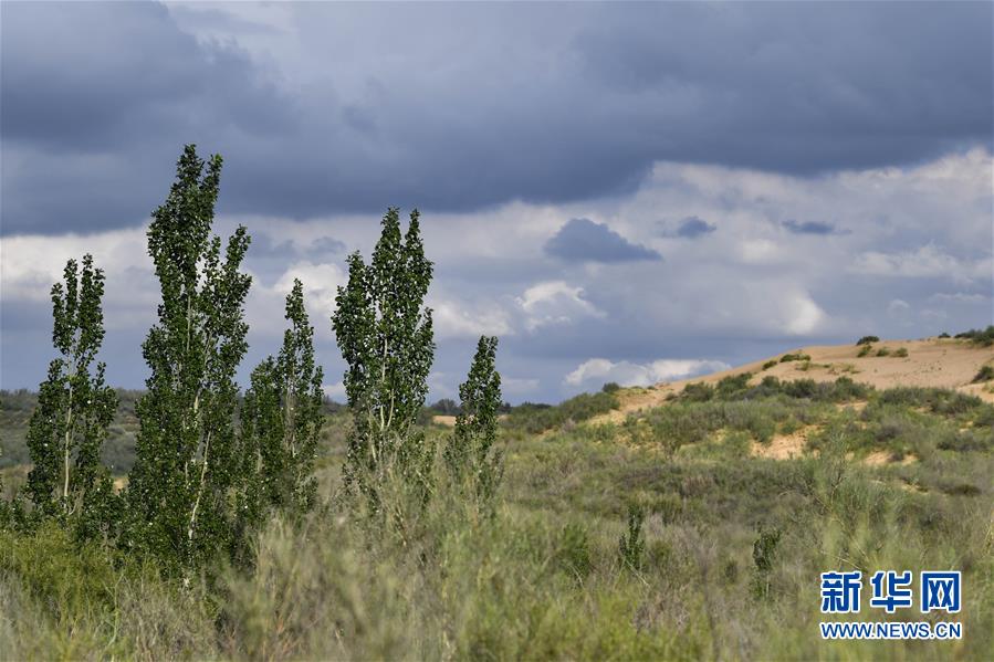 （在習(xí)近平新時(shí)代中國(guó)特色社會(huì)主義思想指引下&mdash;&mdash;新時(shí)代新作為新篇章&middot;總書記關(guān)切高質(zhì)量發(fā)展&middot;圖文互動(dòng)）（2）從一粒沙看不斷擴(kuò)大的中國(guó)綠色版圖