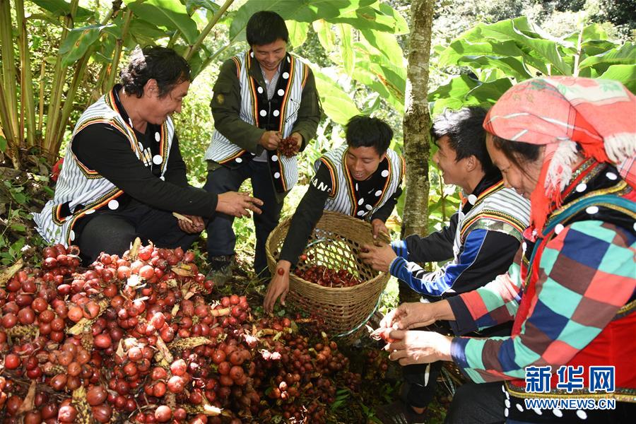 （在習(xí)近平新時(shí)代中國特色社會(huì)主義思想指引下&mdash;&mdash;新時(shí)代新作為新篇章&middot;總書記關(guān)切脫貧事&middot;決勝貧困&middot;圖文互動(dòng)）（4）讓一方水土&ldquo;富養(yǎng)&rdquo;一方人&mdash;&mdash;扶貧特色產(chǎn)業(yè)惠及千家萬戶