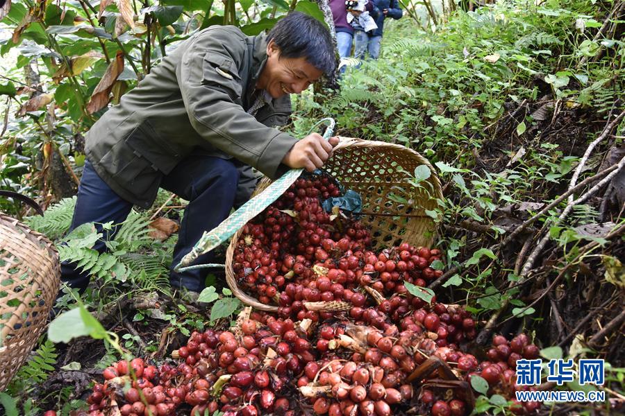 （在習(xí)近平新時(shí)代中國特色社會(huì)主義思想指引下&mdash;&mdash;新時(shí)代新作為新篇章&middot;總書記關(guān)切脫貧事&middot;決勝貧困&middot;圖文互動(dòng)）（5）讓一方水土&ldquo;富養(yǎng)&rdquo;一方人&mdash;&mdash;扶貧特色產(chǎn)業(yè)惠及千家萬戶