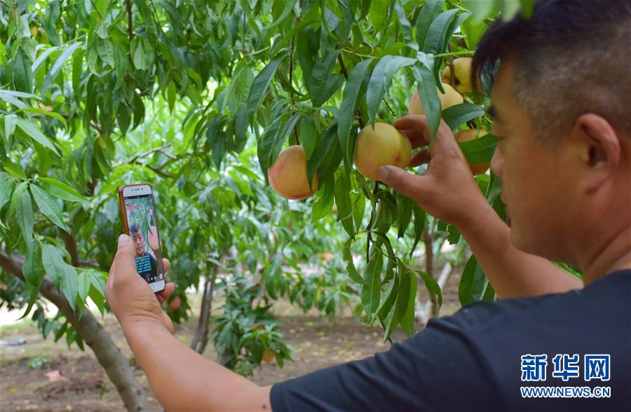 （在習(xí)近平新時(shí)代中國特色社會(huì)主義思想指引下&mdash;&mdash;新時(shí)代新作為新篇章&middot;總書記關(guān)切脫貧事&middot;決勝貧困&middot;圖文互動(dòng)）（6）讓一方水土&ldquo;富養(yǎng)&rdquo;一方人&mdash;&mdash;扶貧特色產(chǎn)業(yè)惠及千家萬戶