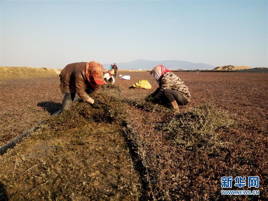 （圖文互動(dòng)）（8）從&ldquo;輕工漁網(wǎng)重工馬掌&rdquo;到&ldquo;圓夢(mèng)小康&rdquo;&mdash;&mdash;&ldquo;中國(guó)東極&rdquo;脫貧攻堅(jiān)剪影