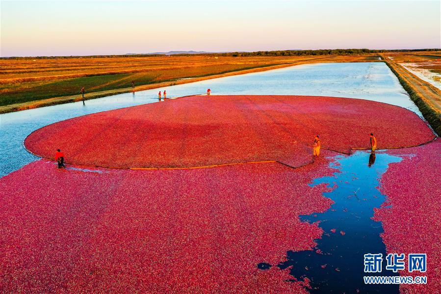 （圖文互動(dòng)）（9）從&ldquo;輕工漁網(wǎng)重工馬掌&rdquo;到&ldquo;圓夢(mèng)小康&rdquo;&mdash;&mdash;&ldquo;中國(guó)東極&rdquo;脫貧攻堅(jiān)剪影