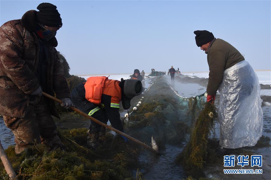 （新春走基層&middot;圖文互動(dòng)）（4）&ldquo;干活的人不會(huì)冷&rdquo;&mdash;&mdash;直擊新疆吉力湖冬捕現(xiàn)場(chǎng)