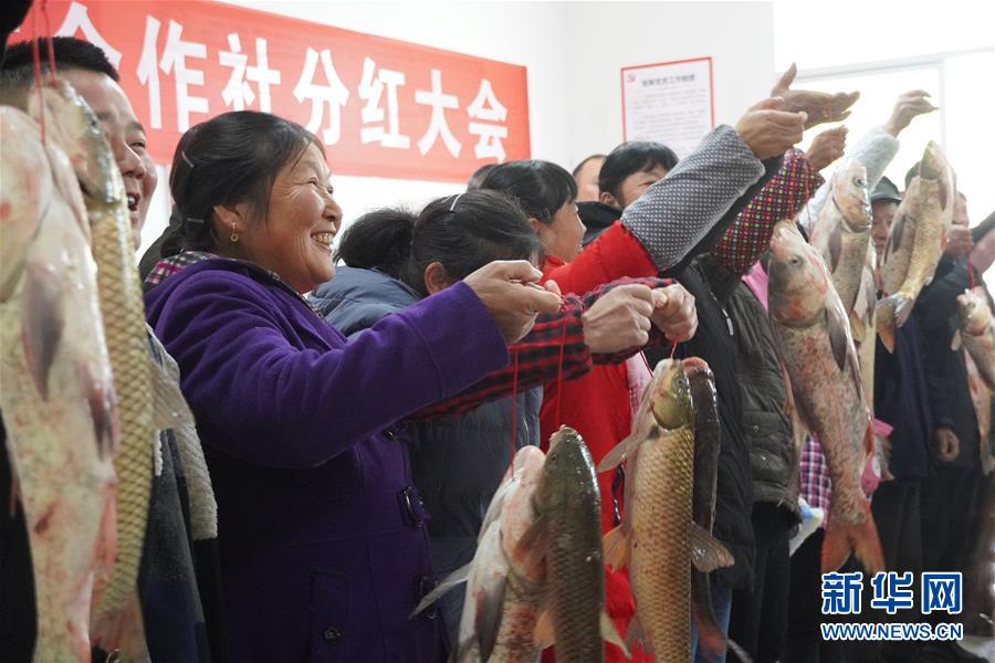 （新春走基層&middot;圖文互動(dòng)）（3）&ldquo;空殼村&rdquo;分紅啦！