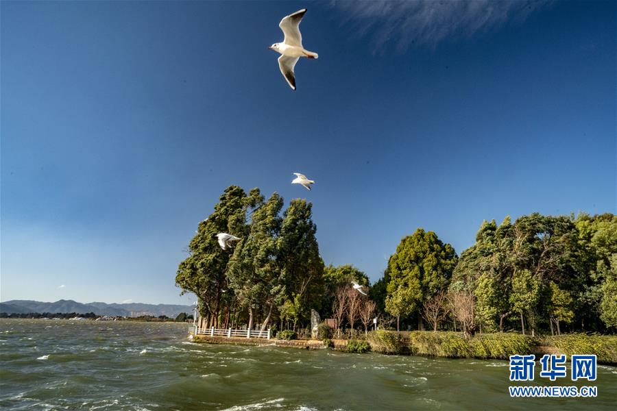 （圖文互動）（7）跨越發(fā)展起宏圖 信心滿懷著華章&mdash;&mdash;習(xí)近平總書記考察云南回訪記