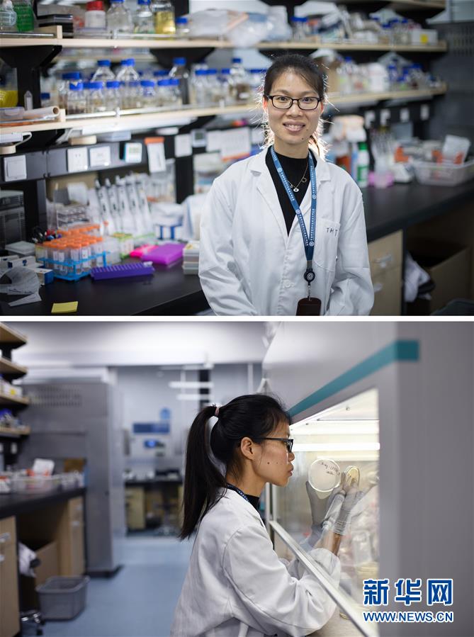 (新華全媒頭條·圖文互動(dòng))(1)創(chuàng)造中華民族的偉大歷史時(shí)間——寫在農(nóng)歷庚子鼠年春節(jié)到來之際