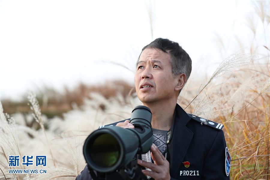 （新春走基層&middot;圖文互動(dòng)）他們，默默守護(hù)候鳥