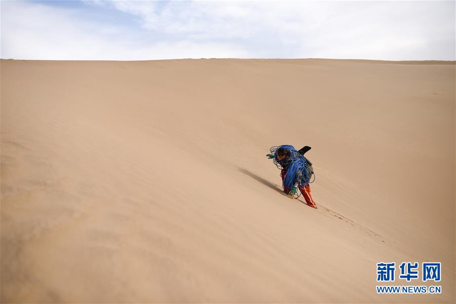 （新春走基層&middot;圖文互動）（3）寒冬里，&ldquo;沙漠玫瑰&rdquo;猶自綻放