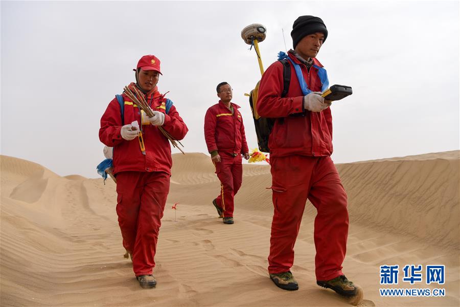（新春走基層&middot;圖文互動）（14）寒冬里，&ldquo;沙漠玫瑰&rdquo;猶自綻放