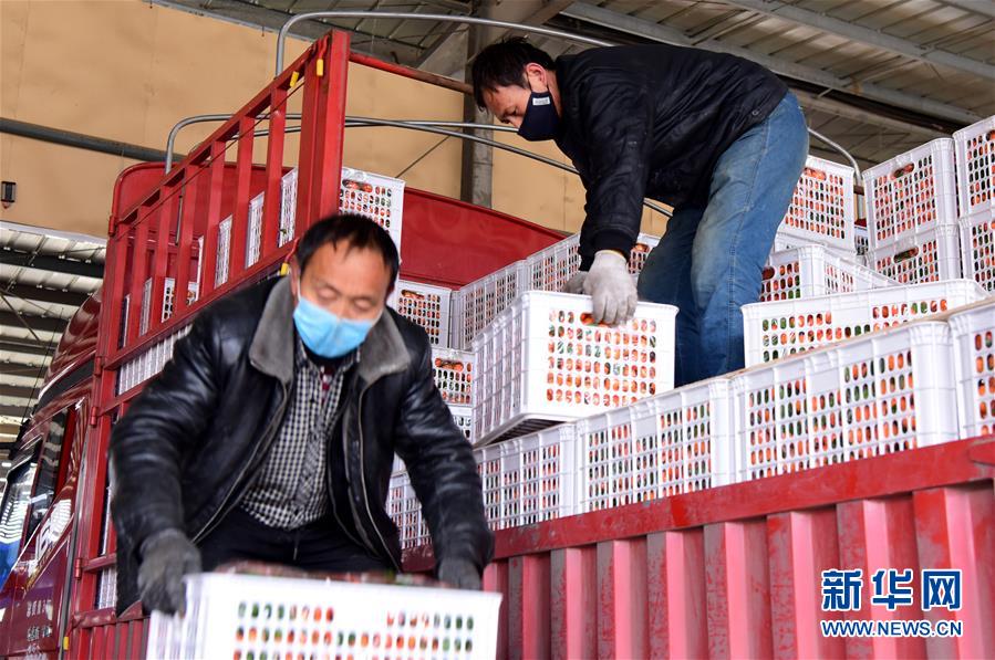 （聚焦疫情防控&middot;圖文互動(dòng)）（5）吃的東西充足，做點(diǎn)花樣菜吧！&mdash;&mdash;中部地區(qū)最大農(nóng)產(chǎn)品批發(fā)市場(chǎng)見聞 