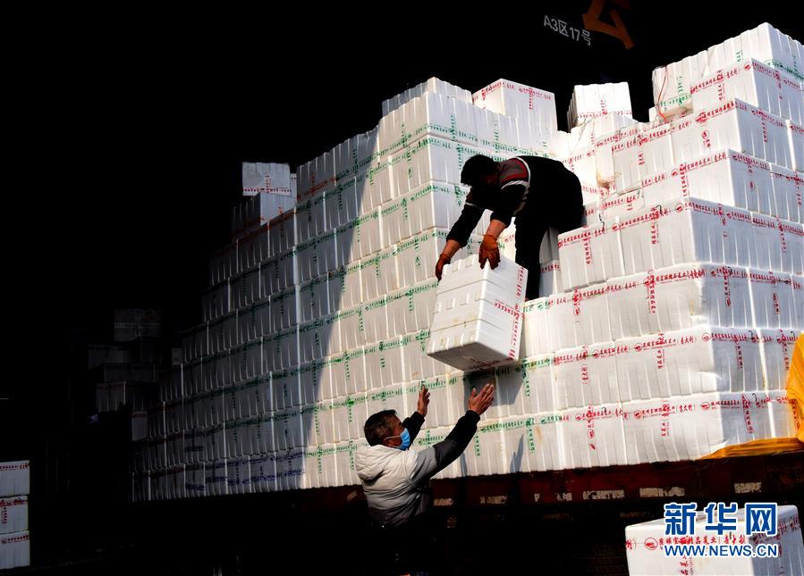 （聚焦疫情防控&middot;圖文互動(dòng)）（4）吃的東西充足，做點(diǎn)花樣菜吧！&mdash;&mdash;中部地區(qū)最大農(nóng)產(chǎn)品批發(fā)市場(chǎng)見聞 